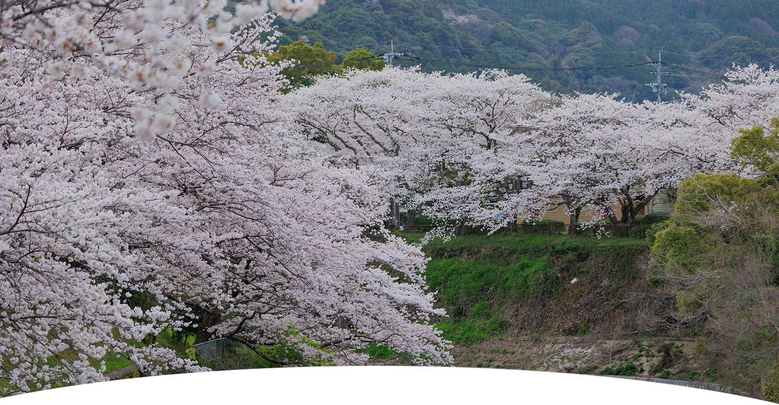 宗運寺