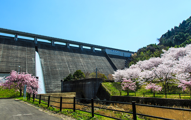 嬉野市についてご紹介致します